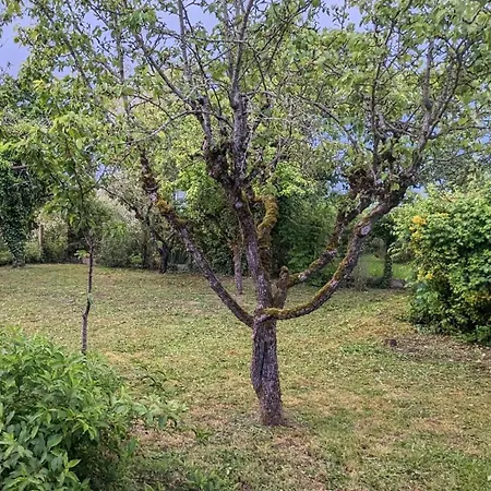 Charmante Maison Au Calme בית נופש